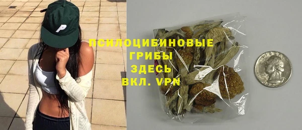 ALPHA PVP Покачи