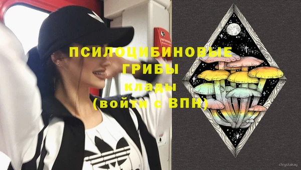 спиды Кадников