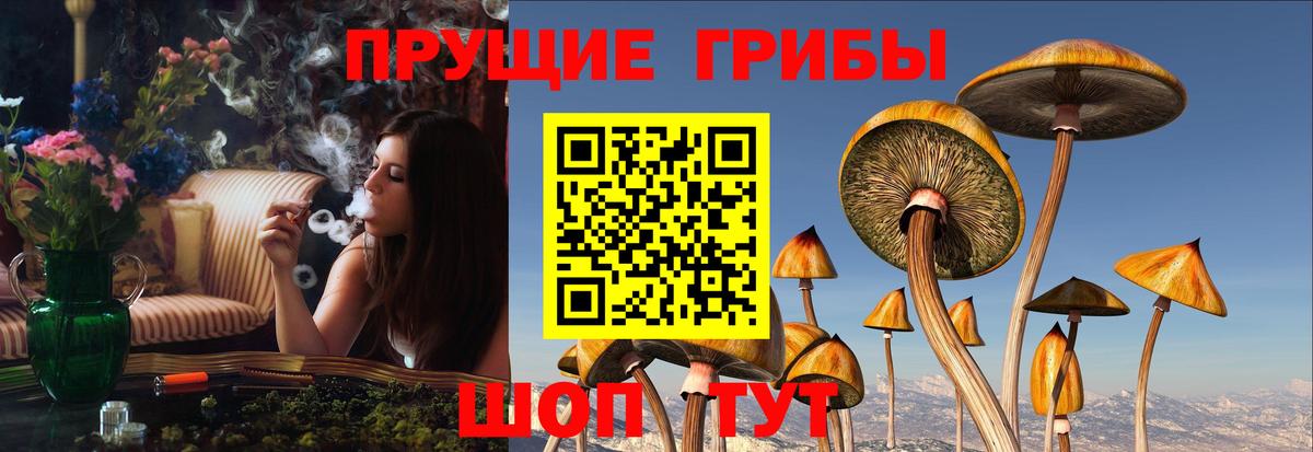 Печора  Галлюциногенные грибы Psilocybe  Вход с VPN  Галлюциногенные грибы GOLDEN TEACHER 